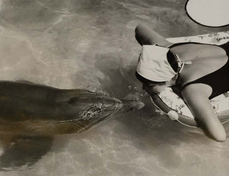 New Scientist. Science news and long reads from expert journalists, covering developments in science, technology, health and the environment on the website and the magazine.