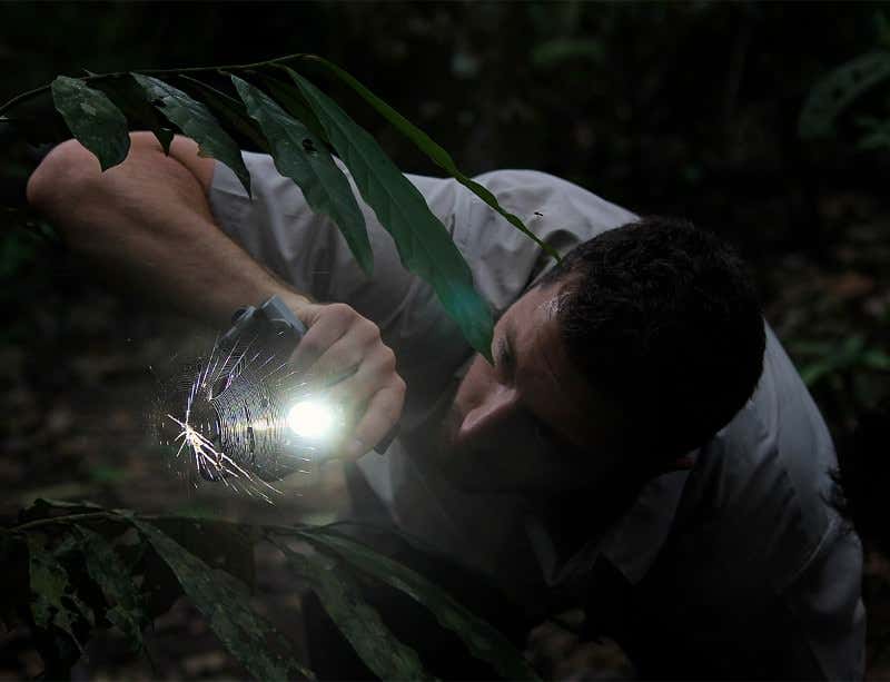 New Scientist. Science news and long reads from expert journalists, covering developments in science, technology, health and the environment on the website and the magazine.