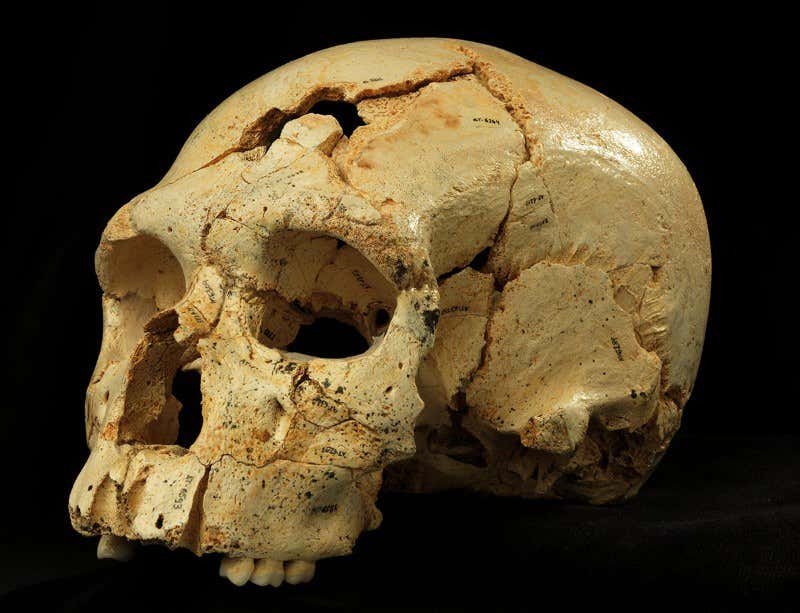 New Scientist. Science news and long reads from expert journalists, covering developments in science, technology, health and the environment on the website and the magazine.