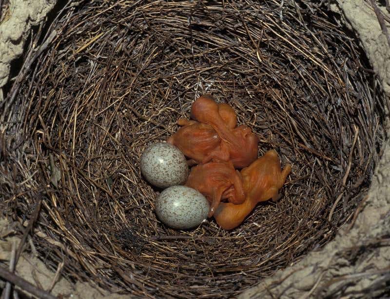 New Scientist. Science news and long reads from expert journalists, covering developments in science, technology, health and the environment on the website and the magazine.