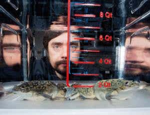 I'm cracking the code to regrow human limbs