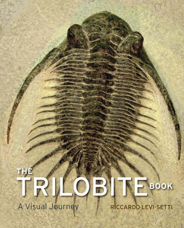When trilobites ruled the seas