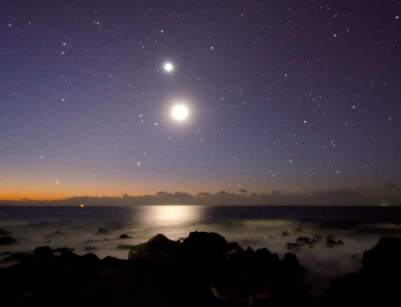 New Scientist. Science news and long reads from expert journalists, covering developments in science, technology, health and the environment on the website and the magazine.