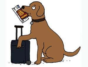 Feedback: All dogs go to gate 97, please