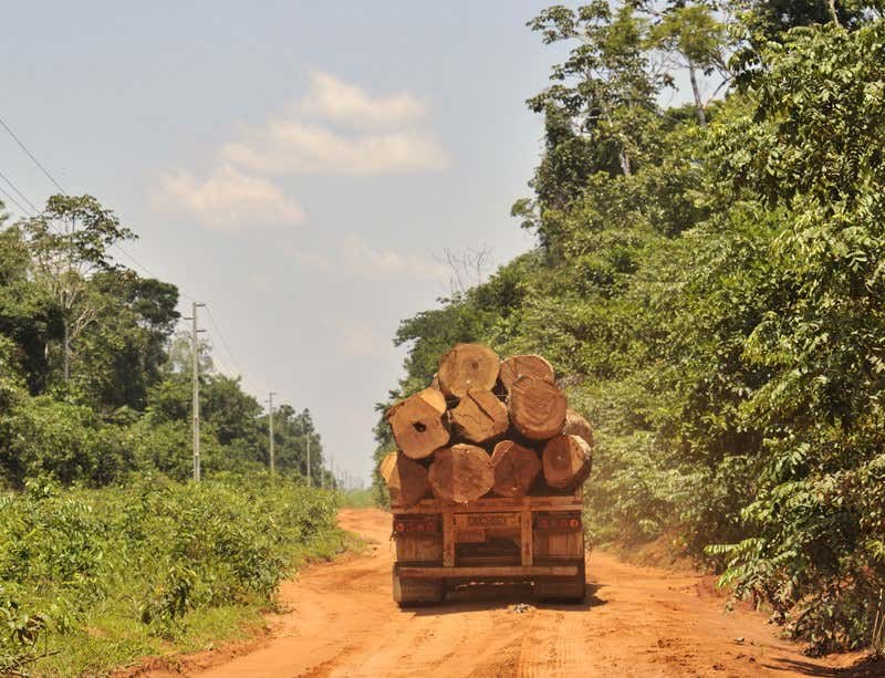 Brazilian science bids for world glory