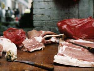 Meaty puzzle: Did TB evolve to boost hungry brains?