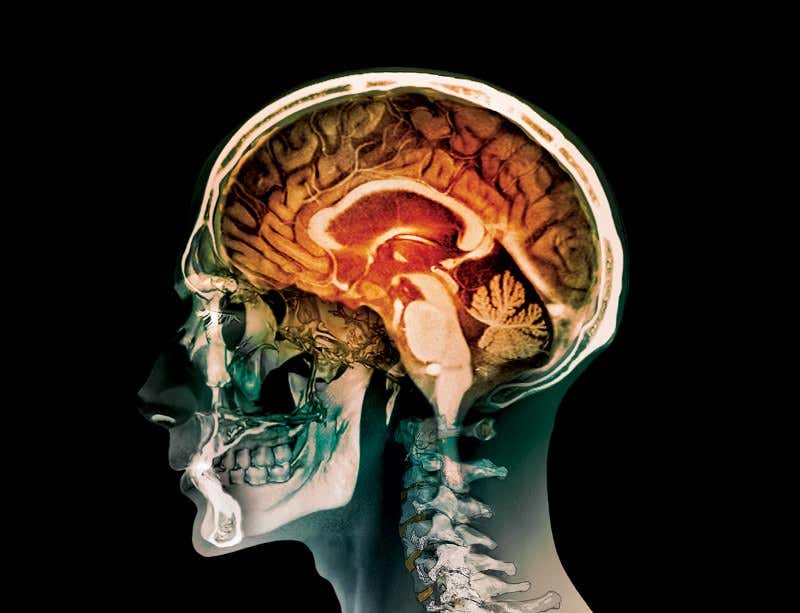 New Scientist. Science news and long reads from expert journalists, covering developments in science, technology, health and the environment on the website and the magazine.