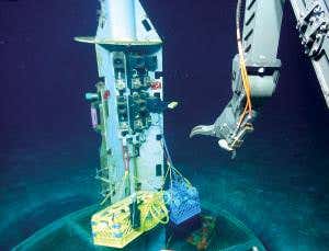 Weird organisms emerge from the deep, dark biosphere