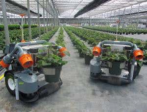 Harvey, the robot farmer fixing the US labour shortage