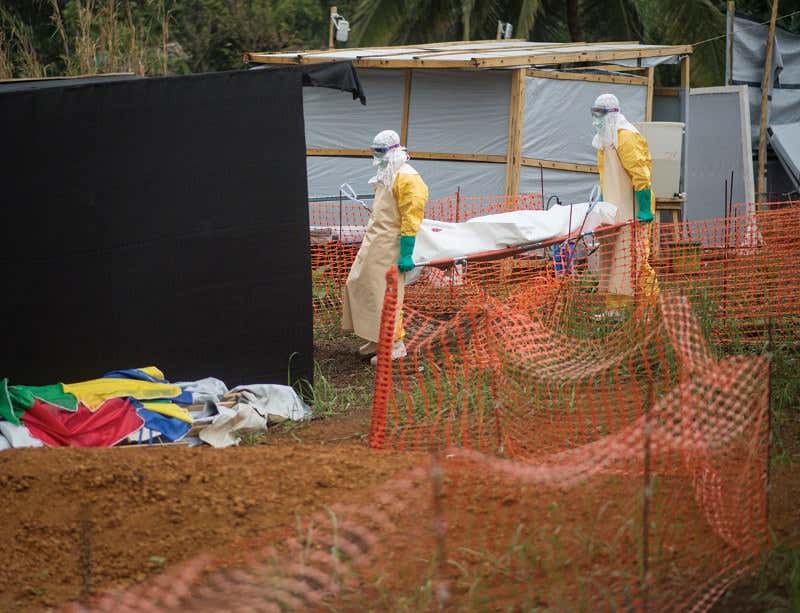 New Scientist. Science news and long reads from expert journalists, covering developments in science, technology, health and the environment on the website and the magazine.