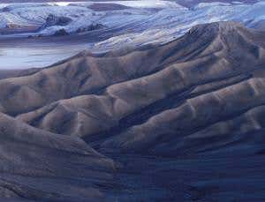 Crystal cocoons kept bacteria safe in space