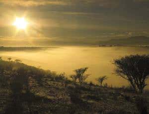 Fog catchers pull water from air in Chile's dry fields