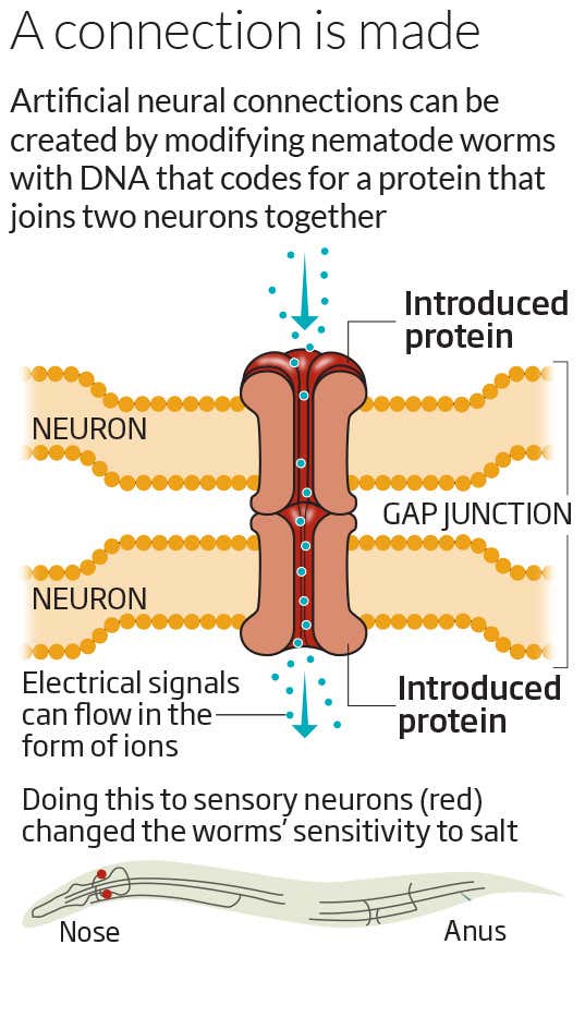New Scientist. Science news and long reads from expert journalists, covering developments in science, technology, health and the environment on the website and the magazine.