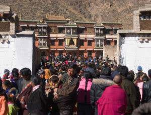 Tibetan altitude gene came from extinct human species