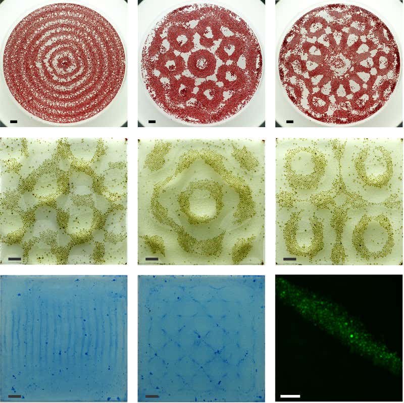 New Scientist. Science news and long reads from expert journalists, covering developments in science, technology, health and the environment on the website and the magazine.