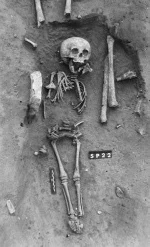 New Scientist. Science news and long reads from expert journalists, covering developments in science, technology, health and the environment on the website and the magazine.