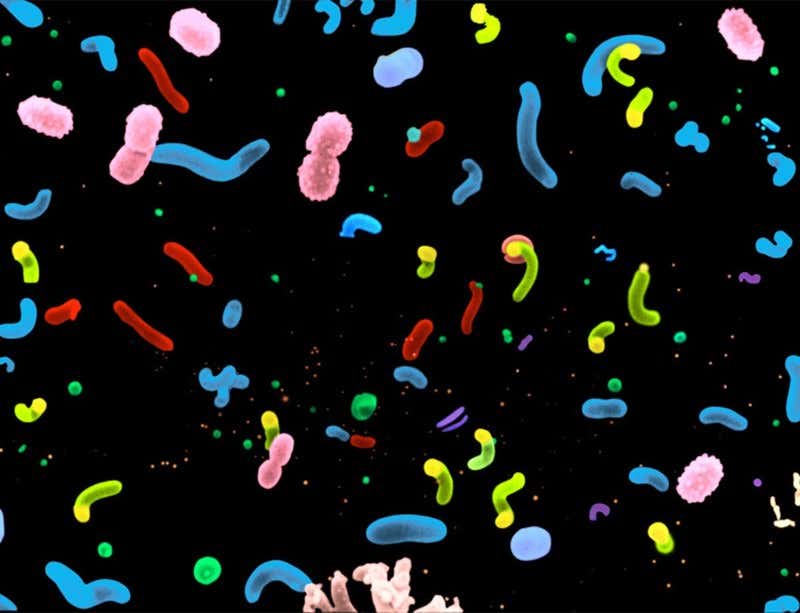 New Scientist. Science news and long reads from expert journalists, covering developments in science, technology, health and the environment on the website and the magazine.