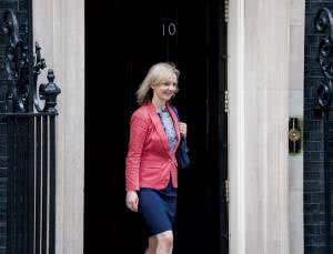 Will UK reshuffle boost science and environment?