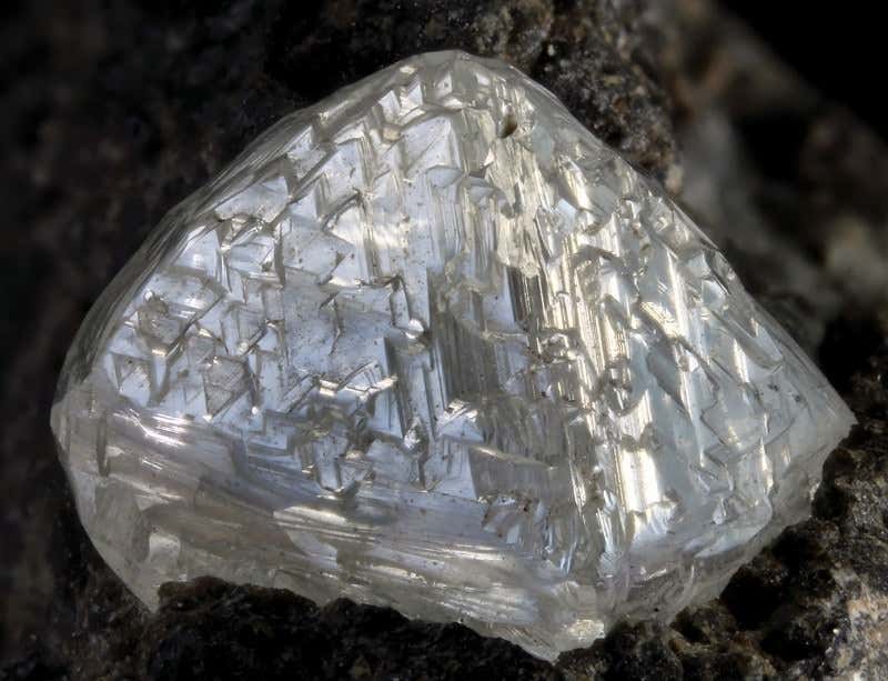 New Scientist. Science news and long reads from expert journalists, covering developments in science, technology, health and the environment on the website and the magazine.