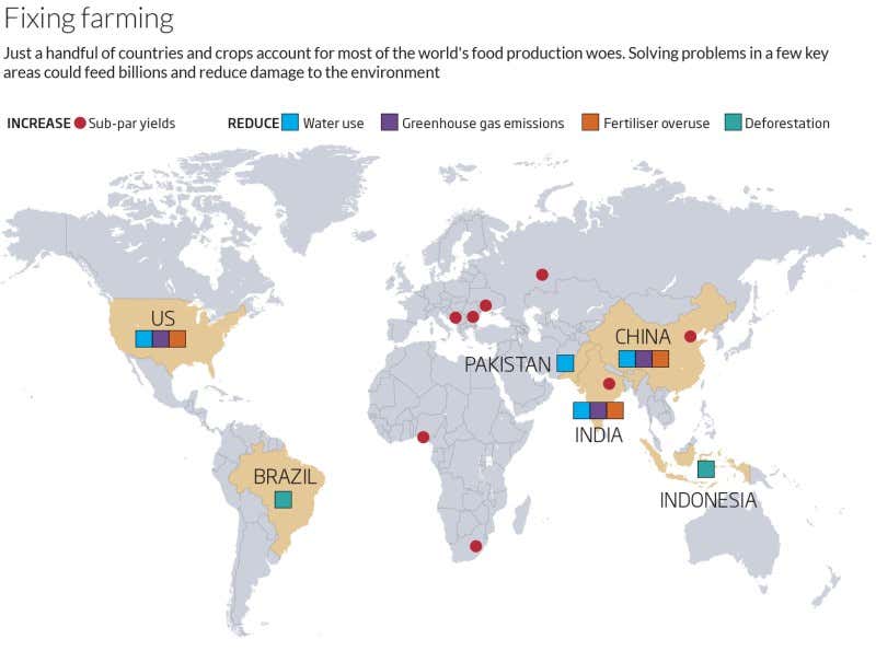 Fix farms in a few countries and feed 3 billion people