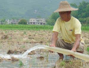 Fix farms in a few countries and feed 3 billion people