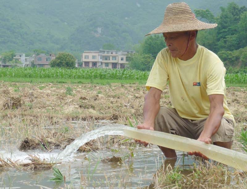 New Scientist. Science news and long reads from expert journalists, covering developments in science, technology, health and the environment on the website and the magazine.