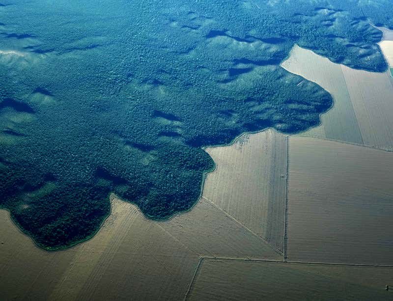 New Scientist. Science news and long reads from expert journalists, covering developments in science, technology, health and the environment on the website and the magazine.