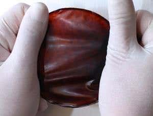 An easier way to turn plant scraps to plastics