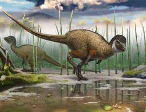 Feathersaurus: plant-eating dinos had plumage too