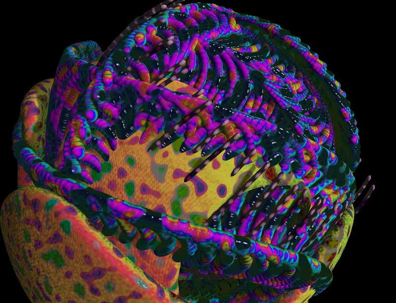 New Scientist. Science news and long reads from expert journalists, covering developments in science, technology, health and the environment on the website and the magazine.