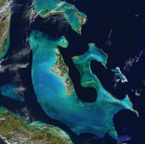 Bahamian paradise built by bacteria using Saharan dust