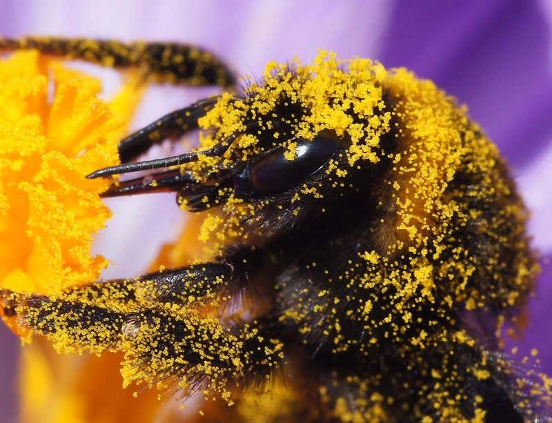 New Scientist. Science news and long reads from expert journalists, covering developments in science, technology, health and the environment on the website and the magazine.