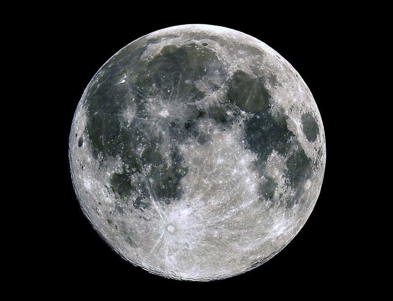 New Scientist. Science news and long reads from expert journalists, covering developments in science, technology, health and the environment on the website and the magazine.