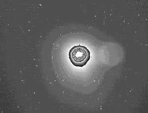 New Scientist. Science news and long reads from expert journalists, covering developments in science, technology, health and the environment on the website and the magazine.