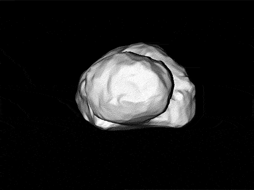 Comet mission must not keep space fans in the dark