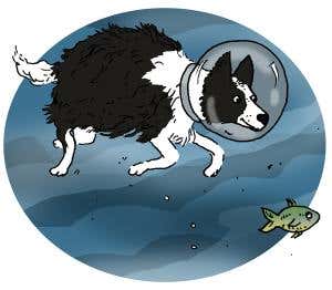 Feedback: Gone to a better conference