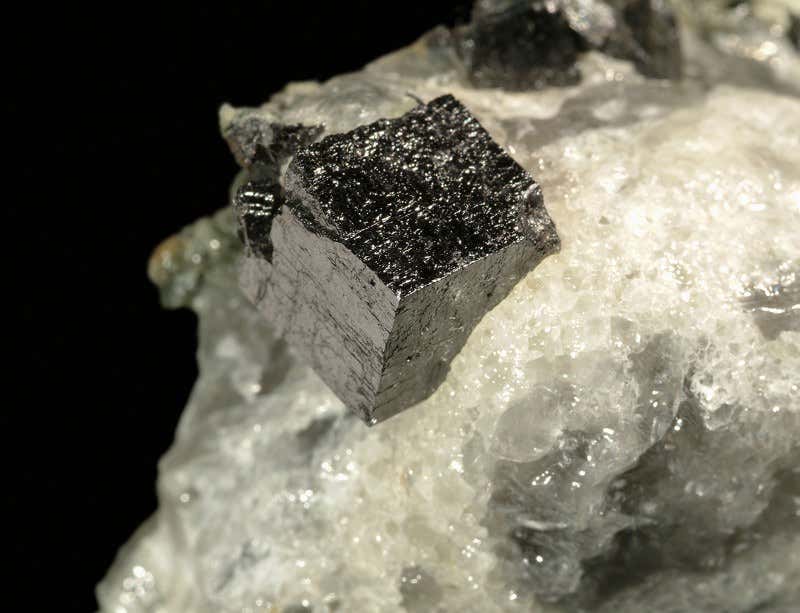 New Scientist. Science news and long reads from expert journalists, covering developments in science, technology, health and the environment on the website and the magazine.