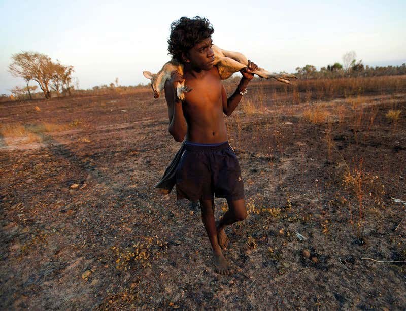 Australia's epic scheme to farm its northern wilds