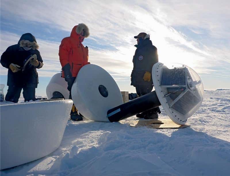 New Scientist. Science news and long reads from expert journalists, covering developments in science, technology, health and the environment on the website and the magazine.