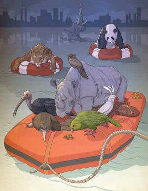 Sorry, tiger: Why we should save weird species first