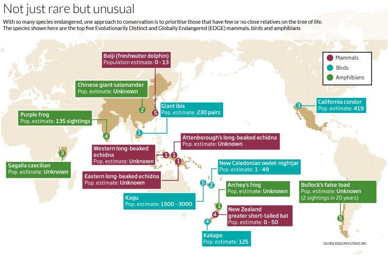 New Scientist. Science news and long reads from expert journalists, covering developments in science, technology, health and the environment on the website and the magazine.