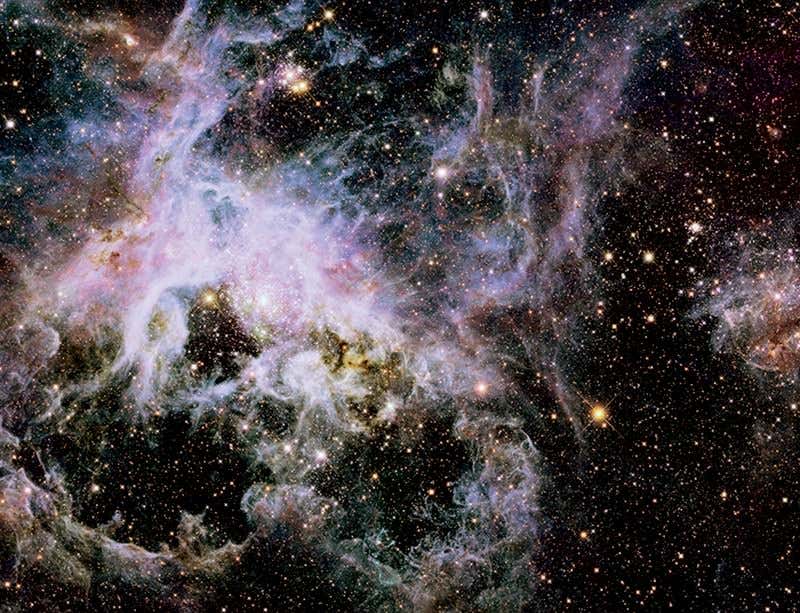 New Scientist. Science news and long reads from expert journalists, covering developments in science, technology, health and the environment on the website and the magazine.