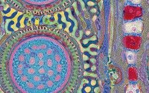 Psychedelic cells are fruit of Alan Turing's equations