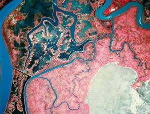 California's Katrina? The great delta dilemma