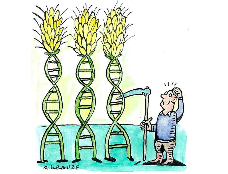 New Scientist. Science news and long reads from expert journalists, covering developments in science, technology, health and the environment on the website and the magazine.