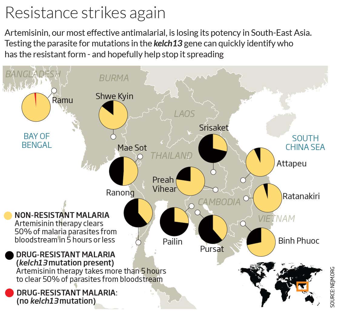 New Scientist. Science news and long reads from expert journalists, covering developments in science, technology, health and the environment on the website and the magazine.