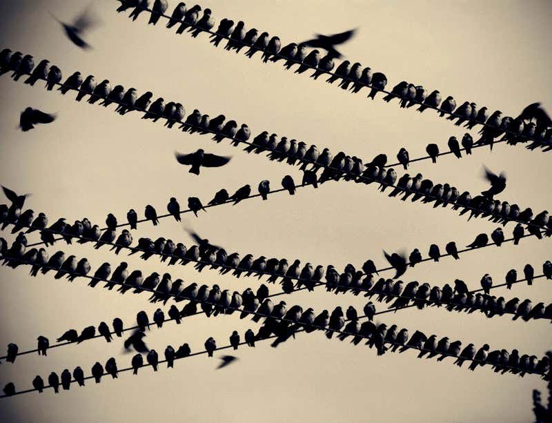 New Scientist. Science news and long reads from expert journalists, covering developments in science, technology, health and the environment on the website and the magazine.