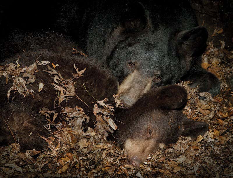 New Scientist. Science news and long reads from expert journalists, covering developments in science, technology, health and the environment on the website and the magazine.