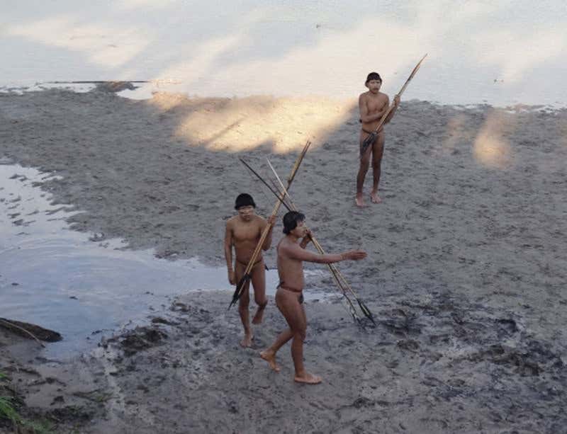 New Scientist. Science news and long reads from expert journalists, covering developments in science, technology, health and the environment on the website and the magazine.