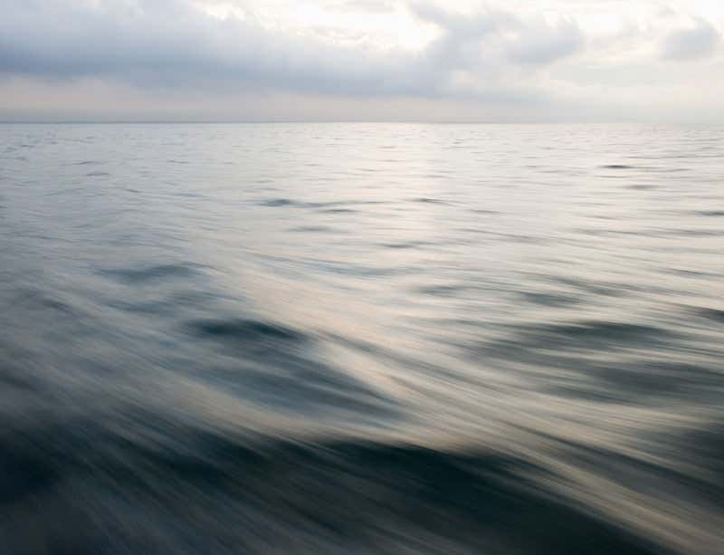 New Scientist. Science news and long reads from expert journalists, covering developments in science, technology, health and the environment on the website and the magazine.